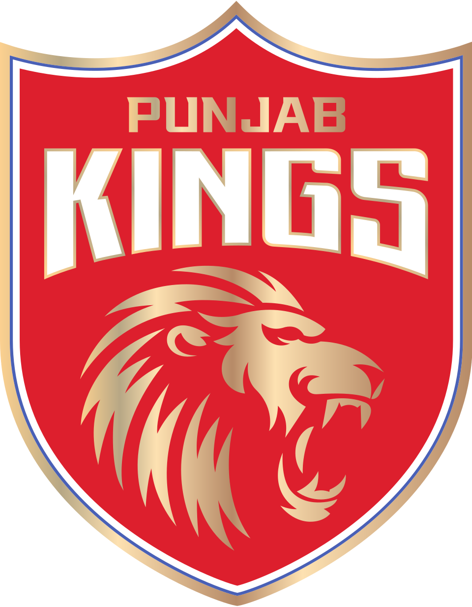 PBKS flag